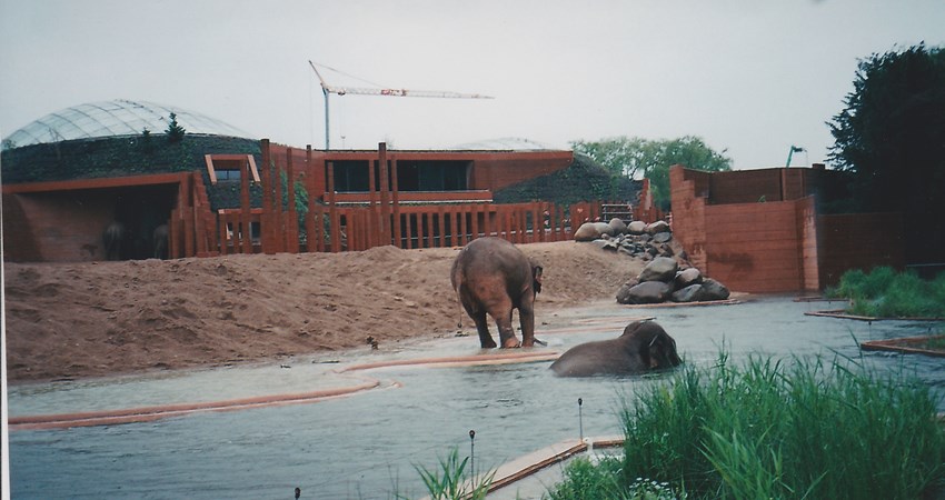 250 Frederiksberg have.jpg