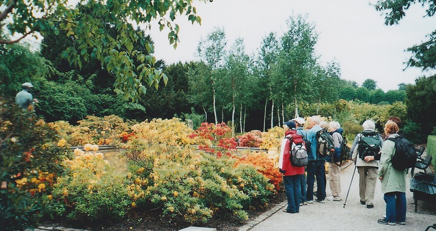 260 Frederiksberg have.jpg