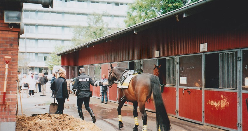 310 Det ridende politi.jpg