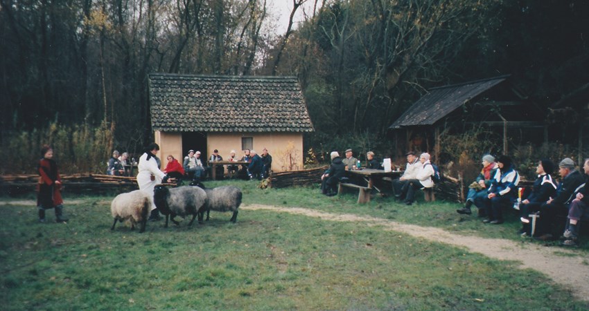 430 Middelalder landsbyen.jpg (1)